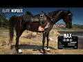 5 Legendary Elite Horses for Arthur Red Dead Redemption 2