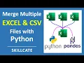 Multiple Excel Files XLSX CSV into One File In 1 Minute With Python