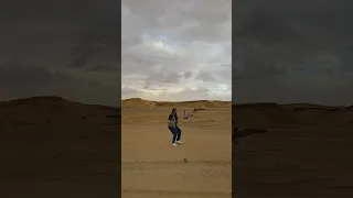 تلواح صقر شاهين جبلي                            نادي الصقار المصري دندنها