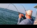 Great Fishing On Conflicting Forecast - Windfinder VS Windy