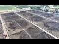 Record Cattle Prices How Long Will This Last