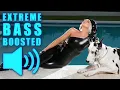 Lagu Lady Gaga - Poker Face (BASS BOOSTED EXTREME)🔊