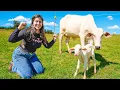 Download Lagu NASCEU UM FILHOTINHO NA FAZENDA! MUITO FOFOOO