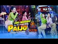 Download Lagu PAIJO - DUO MIRENG FT. NEW MONATA ( OFFICIAL LIVE MUSIC )