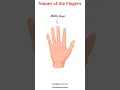 Download Lagu Namen van de vingers in het Engels #englishvocabulary #englishpractice #englishlearning