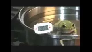 تجربة الضفدع المغلي 