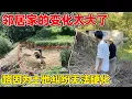 Download Lagu 村里的麻烦事太多了，邻居家也遇到了麻烦，因为土地纠纷无法申请毛路硬化，真是寸步难行啊