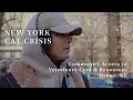 Community Access to Veterinary Care Resources Bronx NY