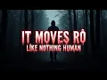 Download Lagu 11 True Horror Stories in the Rain You’ll Regret Listening To – Vol.71