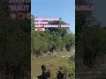 Download Lagu before noon... diantara bukit yang berbunga bunga, #bukit #berbunga #hills #flowerings #nature