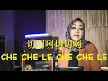 Download Lagu 切切咧切切咧 CHE CHE LE CHE CHE LE 2023 Mandarin Remix Version [video music cover] Lya