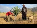 Download Lagu Spending The ENTIRE Day With My Future Wife... Just Watering Our Trees 🌱 | Our Simple Love Story