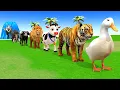 Game Seluncur Panjang dengan Sapi, Gajah, Gorila, Kuda Nil, Harimau, Game Hewan 3D, Hewan 3D Lucu