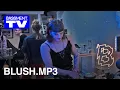 Download Lagu BLUSH.MP3 | Bassment TV