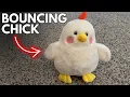 Fun for all ages with this bouncing chicken
