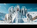 Download Lagu Sia - Bird Set free (Music Video Sora)