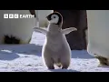 Download Lagu Best Penguin Moments | BBC Earth