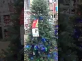 Moving Christmas Lights on A Christmas Tree At Lowes