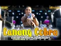 Download Lagu LANANG COBRA - DINDA PUSPITASARI LANGIT MUSIC PANTURA - UNJUNGAN SYEKH MAGELUNG SAKTI - 19 OKT 2024