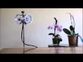 Self Balancing Stick - Dual Axis Reaction Wheel Inverted Pendulum
