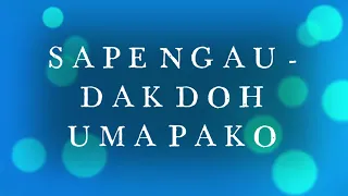 Download SAPE BORNEO   NGAU   DAK DOH UMA PAKO MP3