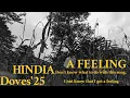 Download Lagu (Fake Music Video) A Feeling- Hindia (Self Interpretation)