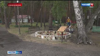 В Омской области стартовала оздоровительная кампания