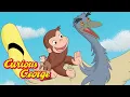 Curious George George s Safari Adventure Kids Cartoon Kids Movies