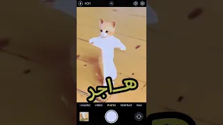 الاكتر طلبا هاجر هاجر العراق السعودية قطر الامارات الكويت البحرين المغرب الجزائر Cat اكسبلور 