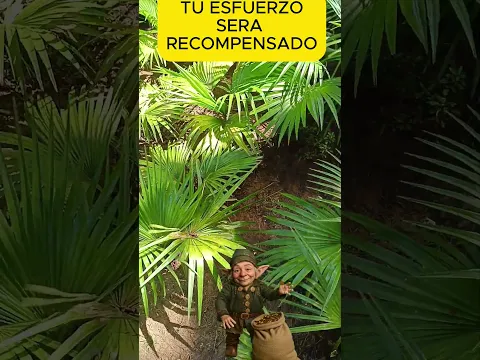 la prosperidad es tuya