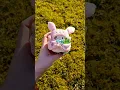 Download Lagu #plush #plushie #nici #kuscheltier #mymochi #cat #katze #bunny #hase #cute #kawaii  #adorable