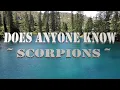 Download Lagu Does Anyone Know Scorpions Lyrics