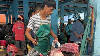 Download 🔴 LIVE STREAM !! Cutting Tuna Skills_27 Maret 2024 MP3