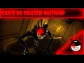 Can't be Erased + Metal Remix - Mashup!