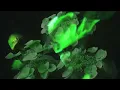 EKLIPSE - Toxic (Official Video - Britney Spears Cover)