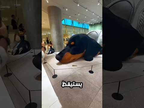 لم يجرء اي احد من سرقة شيء من هذا المكان