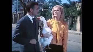 أجمل مشاهد صباح فى السينما رقم 3  أجمل مشاهد صباح فى السينما رقم 3