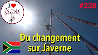 #238 Du changement sur Javerne