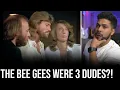 I finally listen to the Bee Gees Too Much Heaven and was not expecting this Reaction