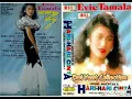 Download Lagu Album Hari Hari Cinta Evie Tamala 1990(full album)