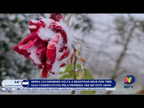 Serra catarinense registra neve por três dias consecutivos pela primeira vez em oito anos