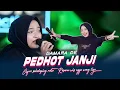 Download Lagu Damara De - Pedhot Janji (Official Music Live) Lam-laman esemmu ning atiku