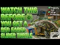 6 Things to Know BEFORE You Get a Red Eared Slider Turtle