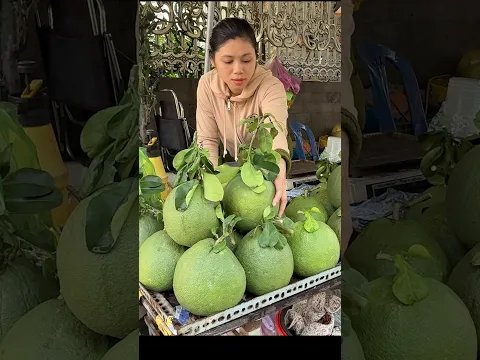 Fruit without sourness! Pink pomelo