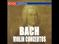 Violin Concerto No. 2 in E Major, BWV 1042: III. Allegro assai