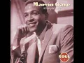 Marvin Gaye - My Love Is Waiting
