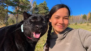 How Luna the panther and Venya greet Vikulya after being apart ☺️(ENG SUB)