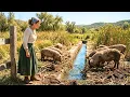 She Bought 70 Reed-Choked Acres for 1 an Acre Then Until Her Hogs Uncovered an Old Mill Race