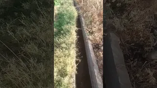 ساقية زراعية 