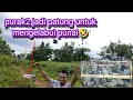 Download Lagu Pasang jaring di markas burung punai#alhamdulillah#kedatangan#sudah  @jasmanchannel9959